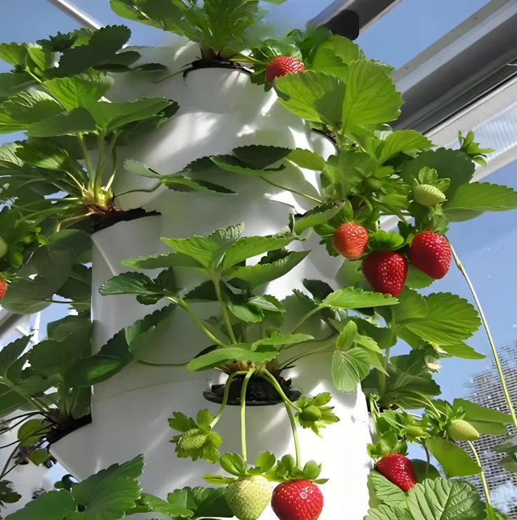Modulares Hydroponik-Wachstums – Urban Farming Wall Bewertung und Preis