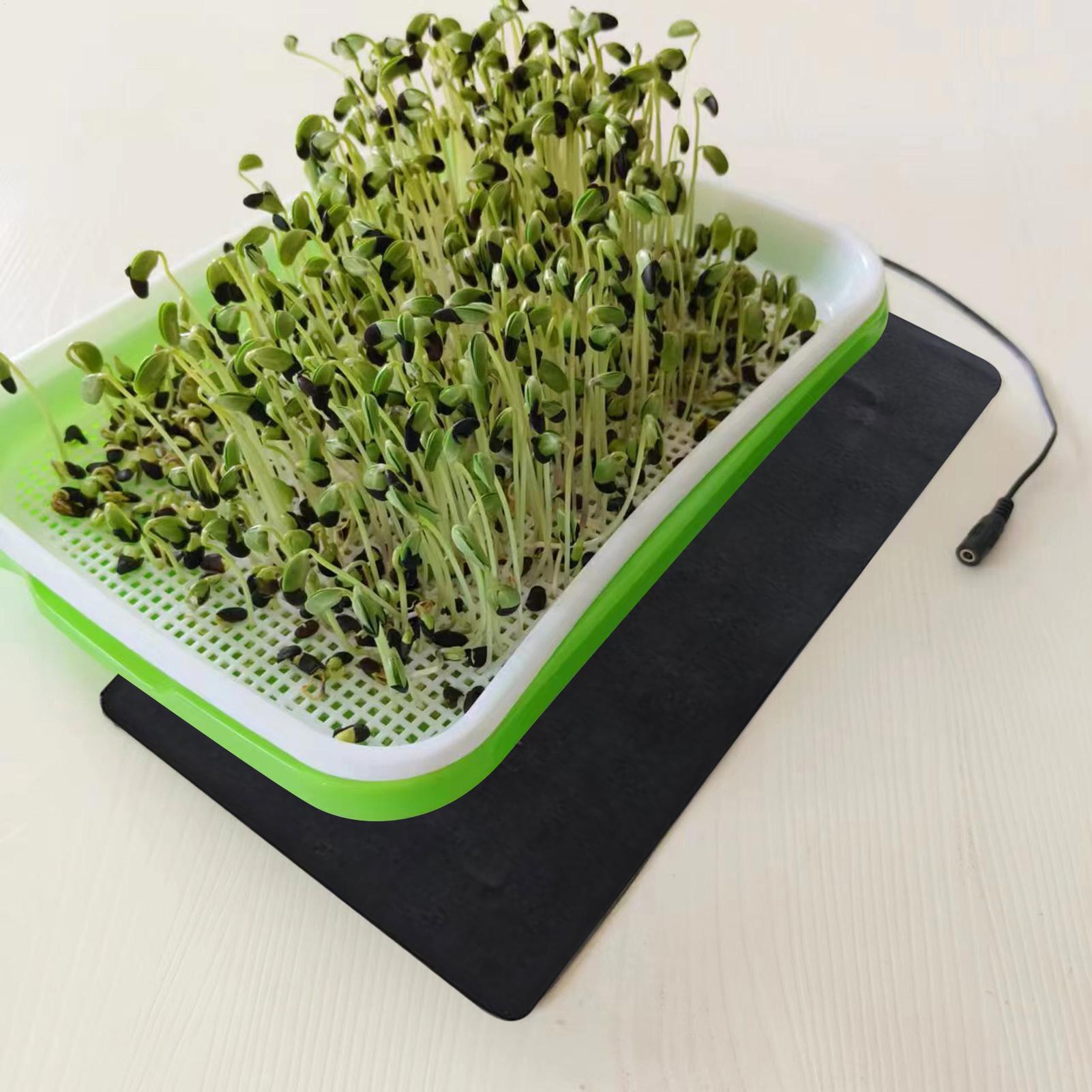 8,5W Sämling-Heizmatte 5V 2A P – Seedling Heat Pad Bewertung und Preis